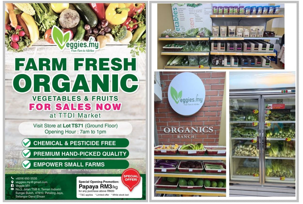 Our First Organic Veggies Store
