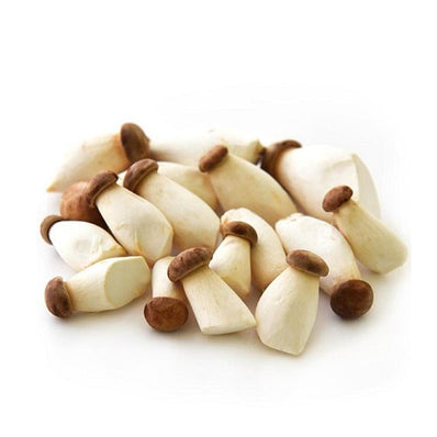 Mini King Oyster Mushroom