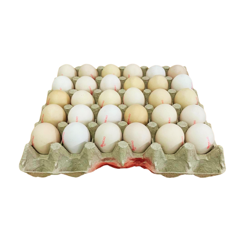 Organic Ma Cao Eggs (Size A)