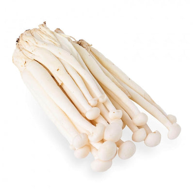 Snow white Mushroom