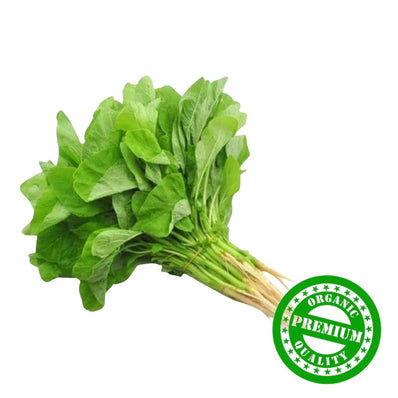 Organic Baby Bayam