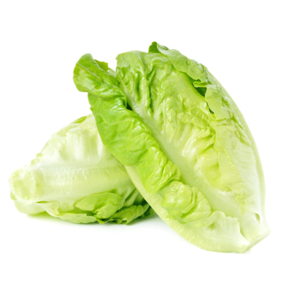 Baby Romaine Lettuce (You Mak)