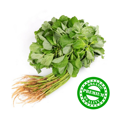Organic Green Spinach