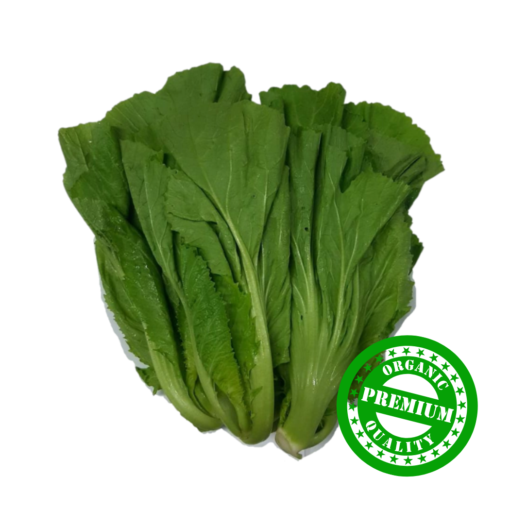 Organic Kai Choy (Local Mustard)