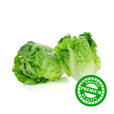 Organic Mini Cos