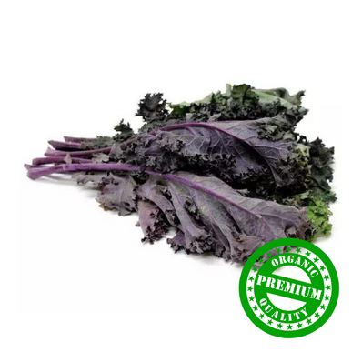 Organic Purple Kale