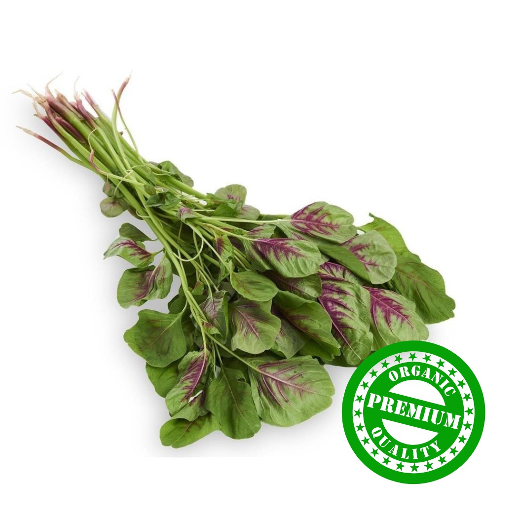 Organic Red Spinach