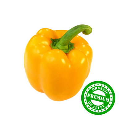 Organic Yellow Capsicum