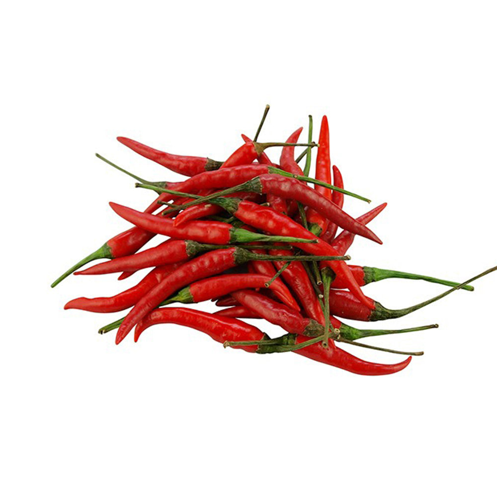 Red Chili Padi