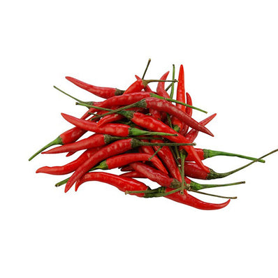 Red Chili Padi