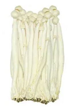 Snow white Mushroom – Veggies.my