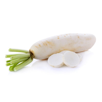 White Radish (Daikon)