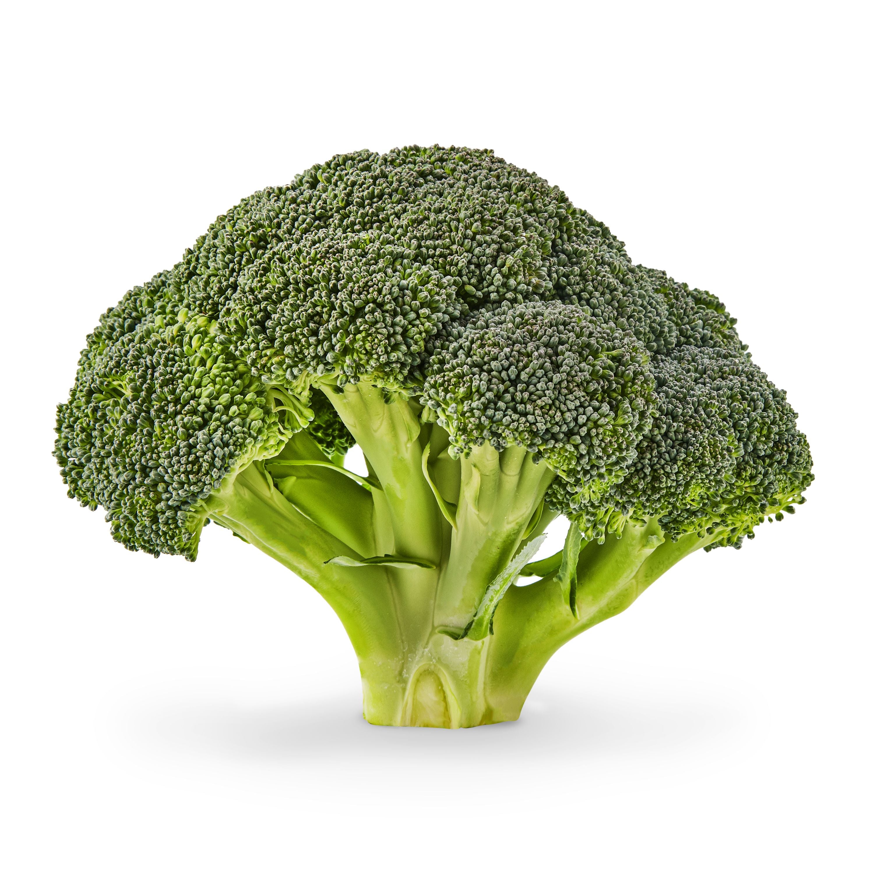 Broccoli (China)