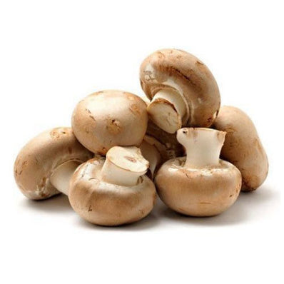 Brown Button Mushroom