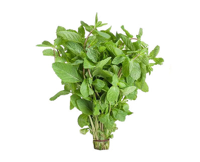 Mint Leaf