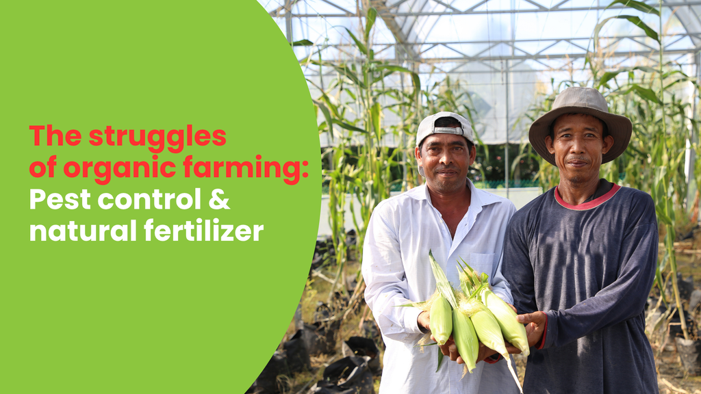 The struggles of organic farming