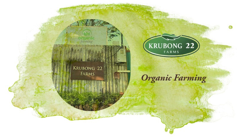 KRUBONG 22 Certified Organic Farm