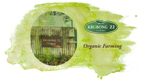 KRUBONG 22 Certified Organic Farm
