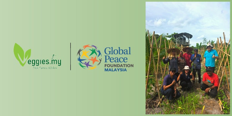 Grow Impact Together & Empower Orang Asli Farmers! 🌱❤️