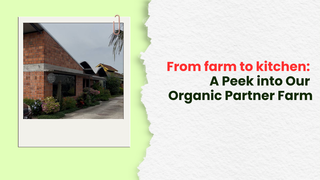 From farm to kitchen: A Peek into Our Organic Partner Farm