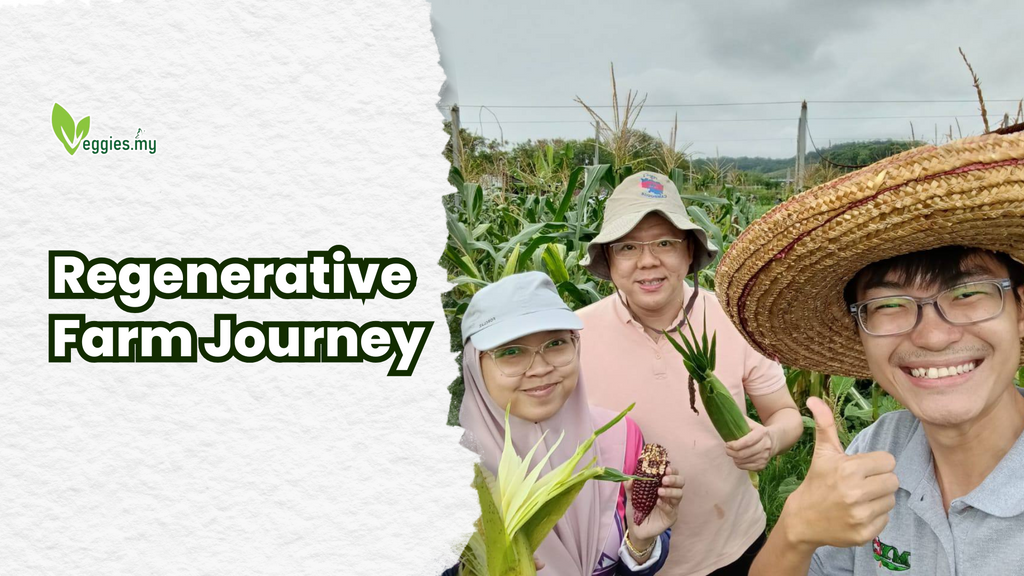 Regenerative Farm Journey