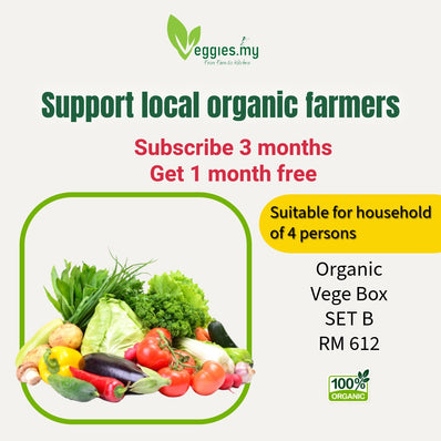 [3+1 PROMO] Organic Vege Pack Set B (Monthly Subscription)