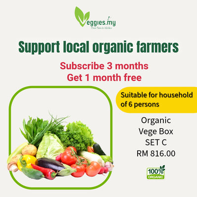 [3+1 PROMO] Organic Vege Pack Set C (Monthly Subscription)