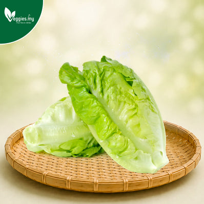Baby Romaine Lettuce (You Mak)