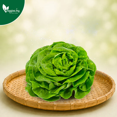 Butterhead Lettuce 250G
