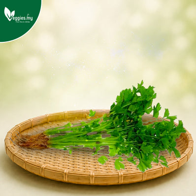 Chinese Celery (Daun Sup) 100G
