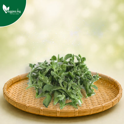 Iceplant 100G