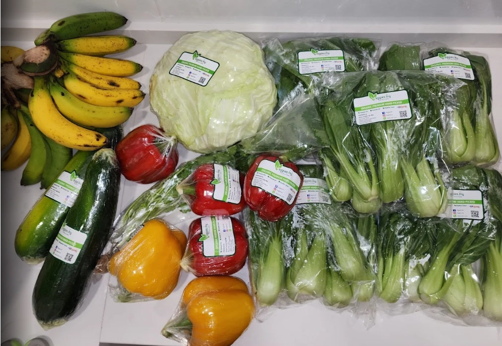 Logeswaran Samynathan