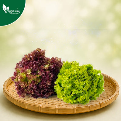 Mix Coral Lettuce 250G