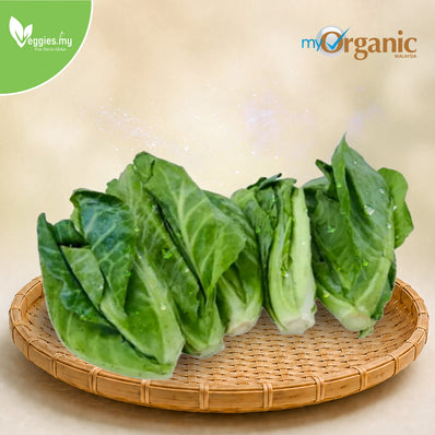 Organic Cabbage Shoot 200G