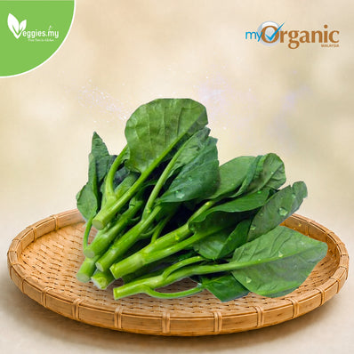 Organic Chinese Broccoli (Kai Lan)