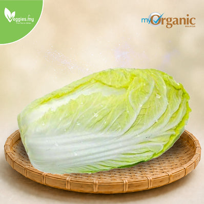 Organic Chinese Cabbage 1KG