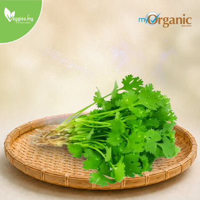 Organic Coriander (Insai) 80G