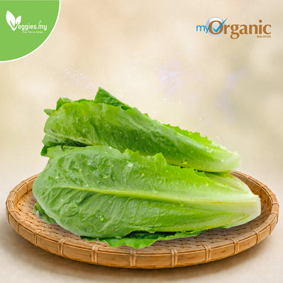 Organic Cos Lettuce