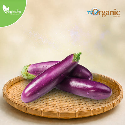 Organic Eggplant (Brinjal) 300G