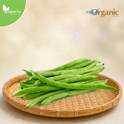 Organic French Bean