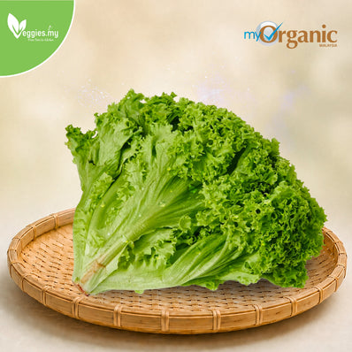 Organic Green Coral Lettuce