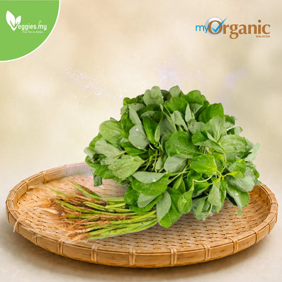 Organic Green Spinach 200G