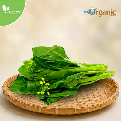 Organic Hong Kong Choy Sum