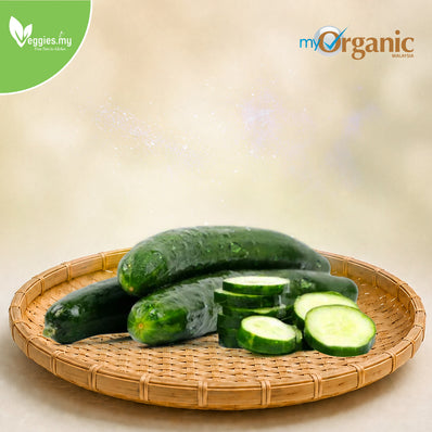 Organic Japanese Cucumber