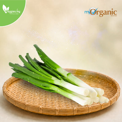 Organic Leeks (Cameron) 250G