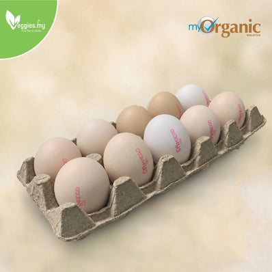 Organic Ma Cao Eggs (Size A) 10PCS