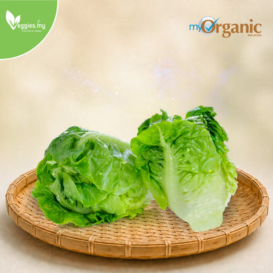 Organic Mini Cos