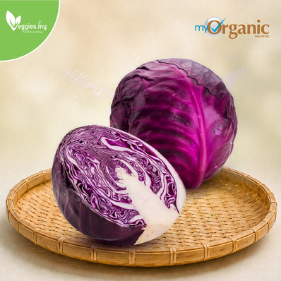 Organic Purple Cabbage