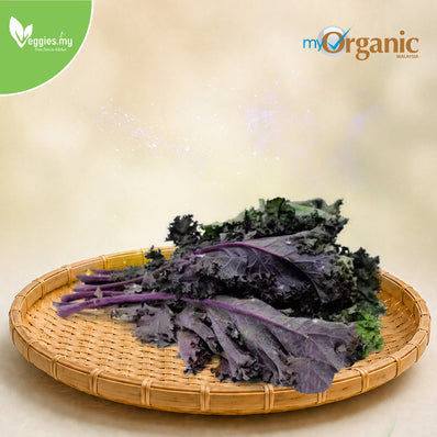 Organic Purple Kale