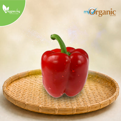 Organic Red Capsicum